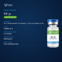 SS 31 2
